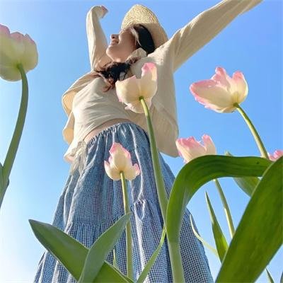 星星的房子国语